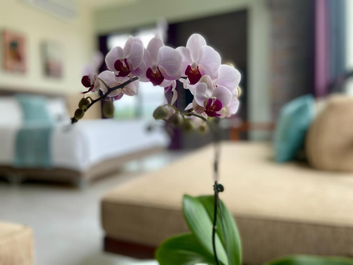 Jialin Follow The Cloud B&B المظهر الخارجي الصورة